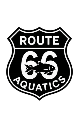 Route 66 Aquatics